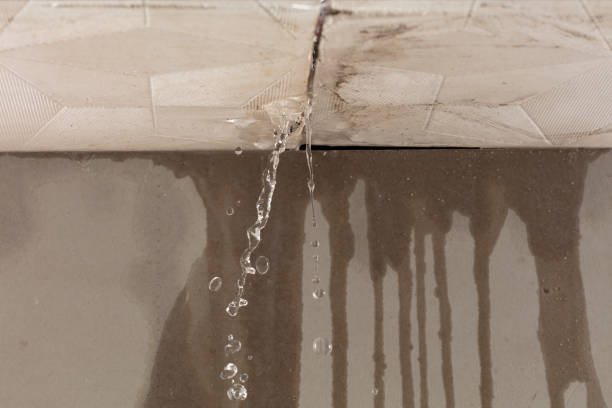 Professional Water Extraction technician working in Forney, TX